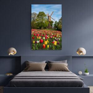 Wandbild | Tulpen an der Windmühle in Bremen