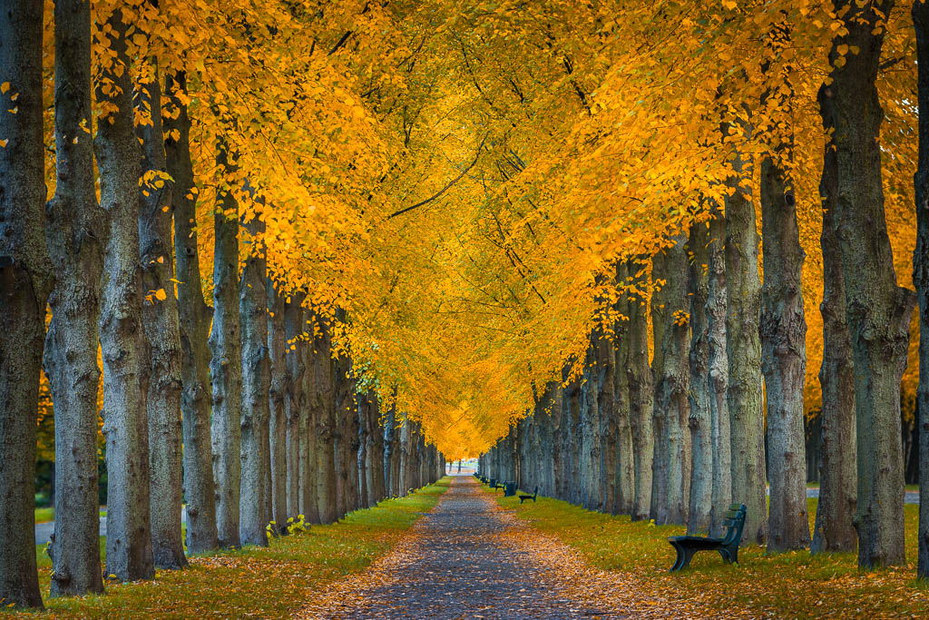 Herrenhausen Gardens in Hannover during autumn