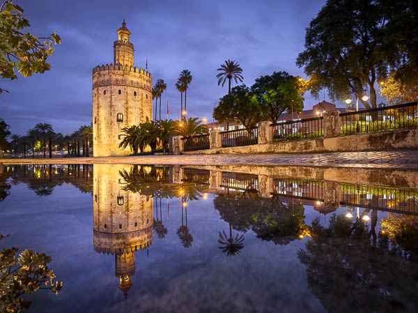 Torre del Oro in Sevilla, Andalusien, Spanien bei Nacht mit Spiegelung in einer Regenpfütze von Michael Abid