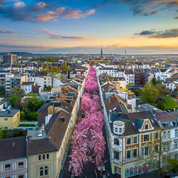 Cover photo for Wall Art of Bonn
