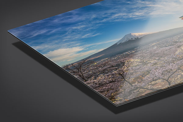 Acrylic Glass - Mount Fuji with cherry blossoms in Japan