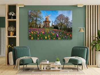 Wall Art | Tulips at the windmill in Bremen