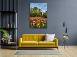 Wall Art | Tulips at the windmill in Bremen